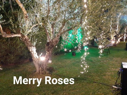 Διακόσμηση και Διοργάνωση Γάμου