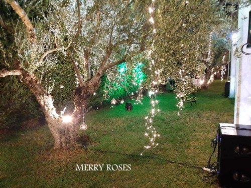 Στολισμός Γάμου σε Κτήμα