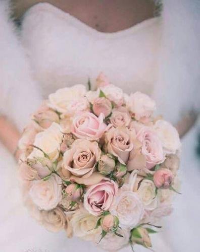 27751663 1443390492434345 4074221747853800953 n