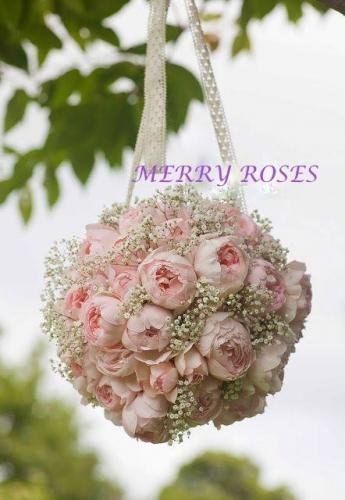 27752067 1443391399100921 1969916101369840097 n