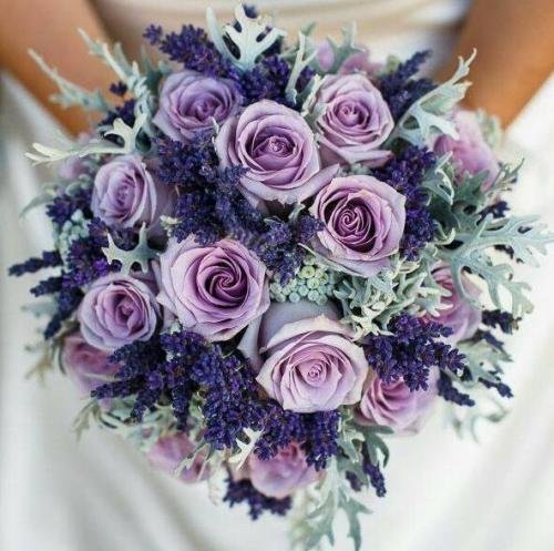 27858163 1443402672433127 2058648874677045187 n