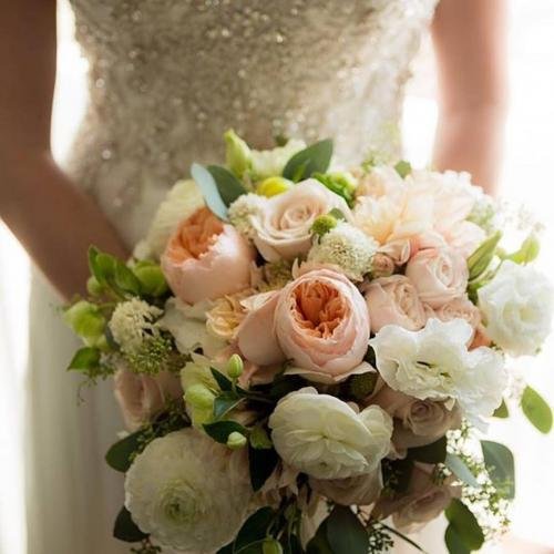 27867085 1443395892433805 4017510939098488017 n 0