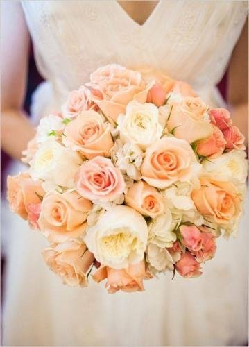 27867274 1443386862434708 562496378138013533 n