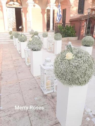 Γάμος με Γυψοφίλλη