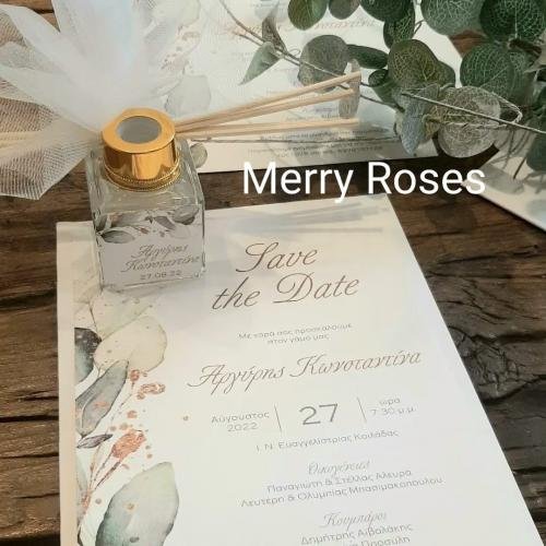 311636751 10222093434633689 4183782526792353065 n