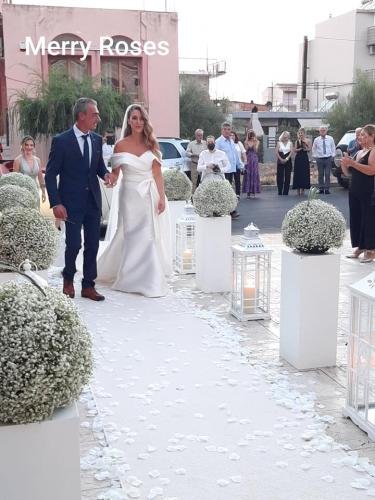 Γάμος με Γυψοφίλλη